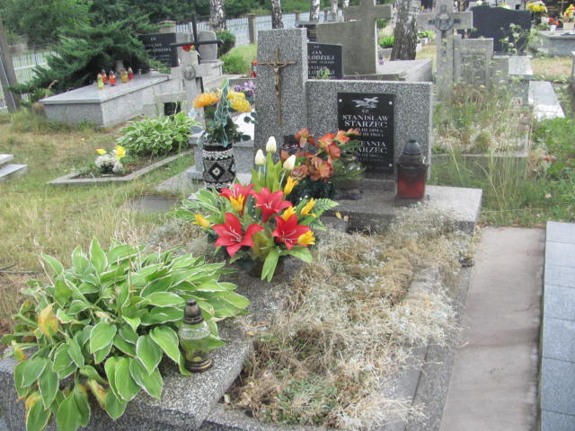 Grób Stanisław Starzec