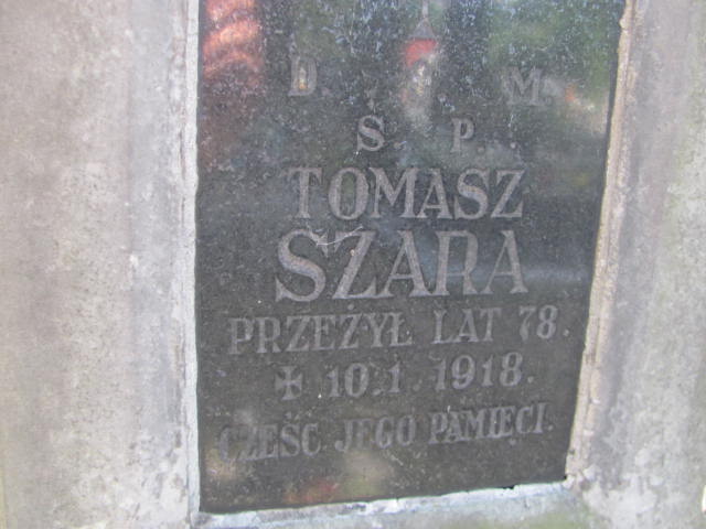 Tomasz Szara Żabno - Grobonet - Wyszukiwarka osób pochowanych