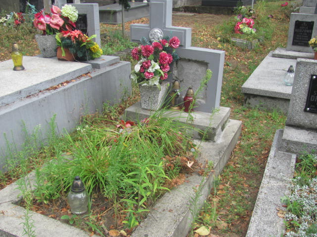 Elżbieta Sitko 1882 Żabno - Grobonet - Wyszukiwarka osób pochowanych