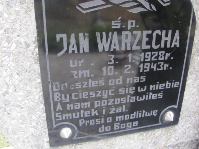 Anna Warzecha 1899 Żabno - Grobonet - Wyszukiwarka osób pochowanych