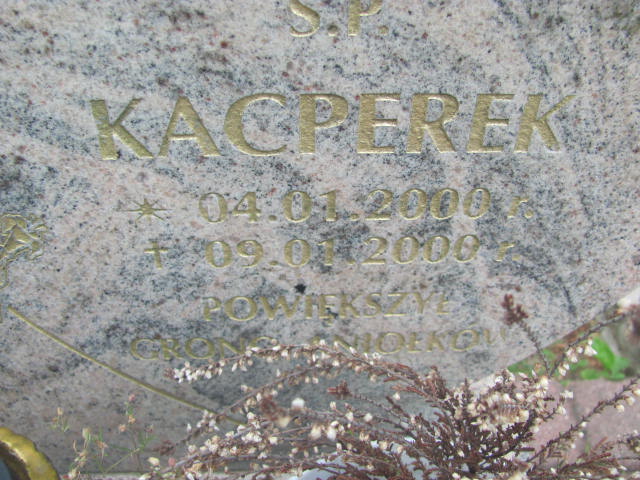 Kacper Rachmaciej 2000 Żabno - Grobonet - Wyszukiwarka osób pochowanych